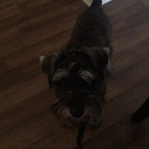 Meet your Posher, Vincent